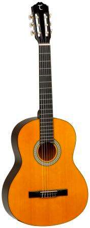 Tanglewood Discovery DBT 44 Guitar + GiG BAG