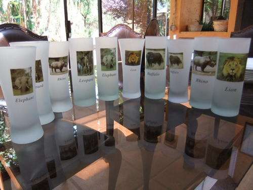 R 5 - African Motive Glasses x 10!