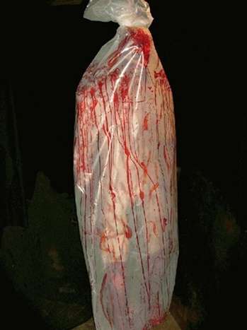 Full Size Body in a Body Bag - Foam and Latex Rubber Prop