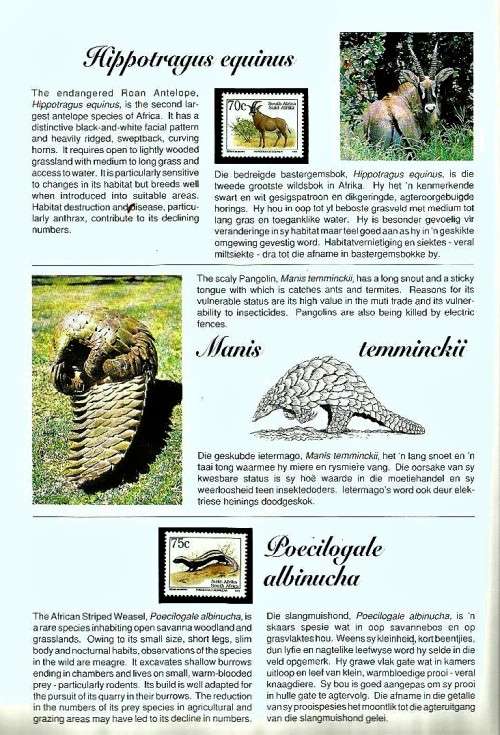 Sixth Definitive Series Collectors Book