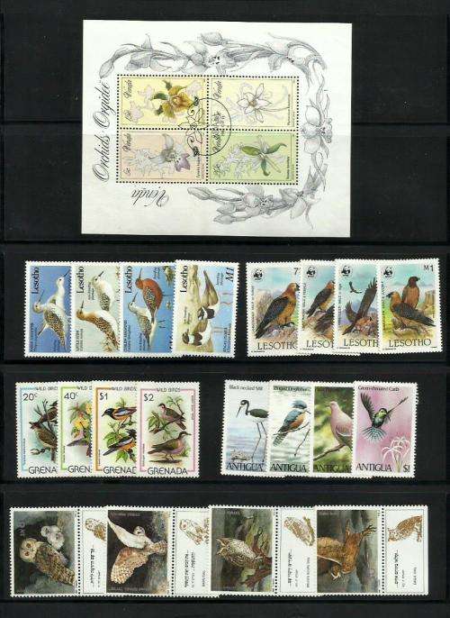 Birds on Stamps Collection