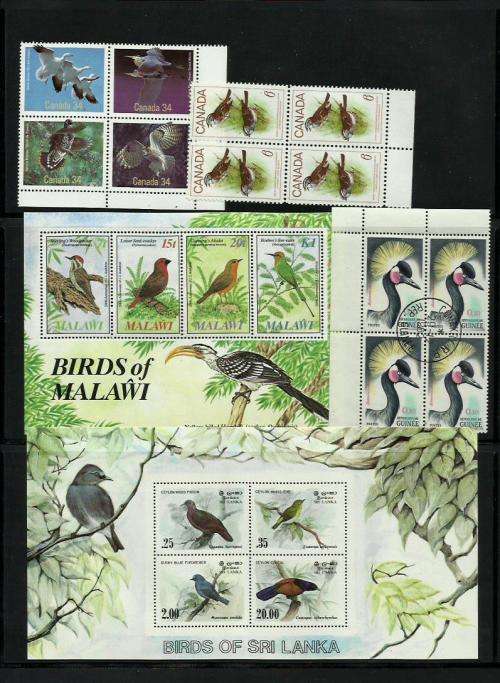 Birds on Stamps Collection