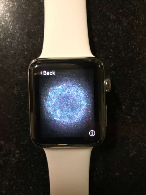 Apple Watch Stainless Steel