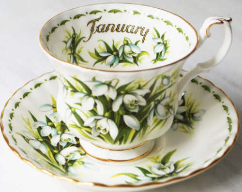 Royal Albert Flower of the Month - January
