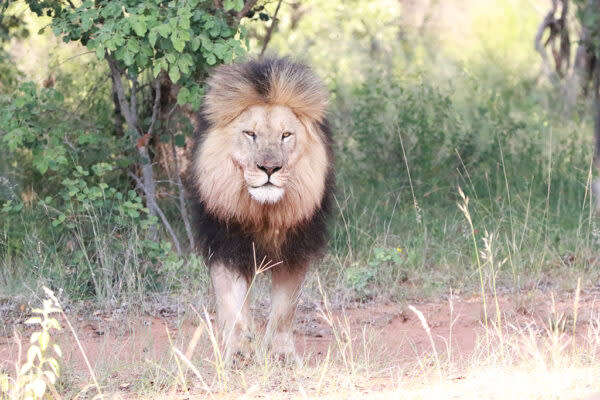 Mabula Game Lodge 13 09 24 to 16 09 24