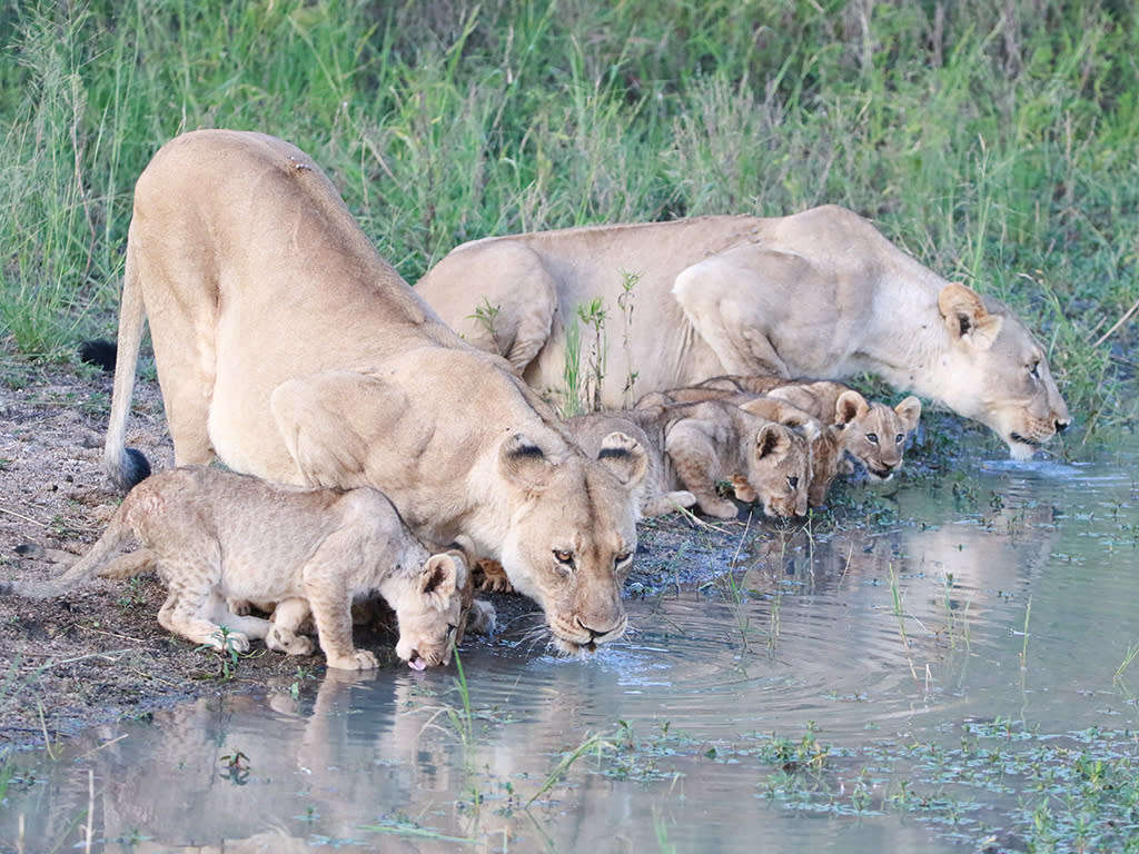 Mabula Game Lodge 13 09 24 to 16 09 24