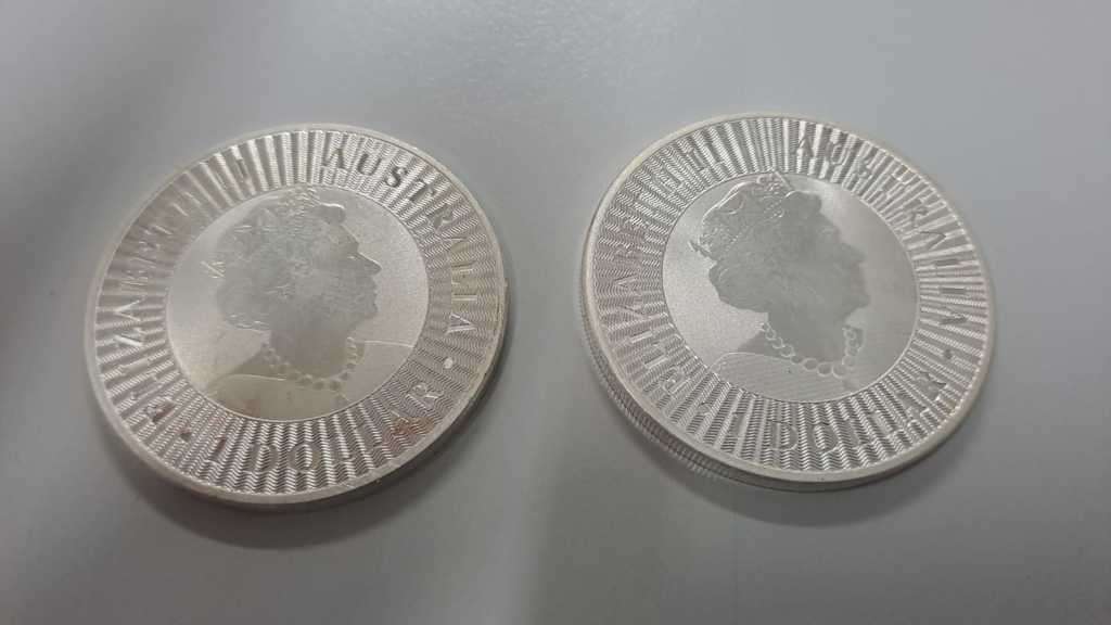 1oz Kangaroo 2021 Silver Coin