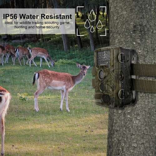 Waterproof Outdoor Hunting Trail Camera 1080HD (SPECIAL FOR 2 WEEKS) "LOCAL STOCK"