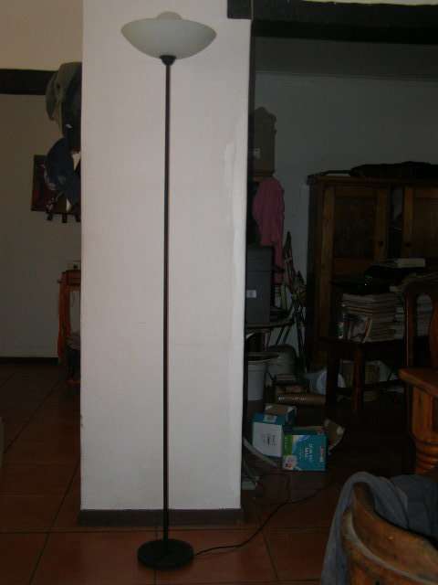 Beautiful Tall Steel Floor Lamp