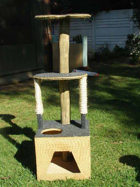 WOW! STUNNING CAT SCRATCH POLE AND PLAY