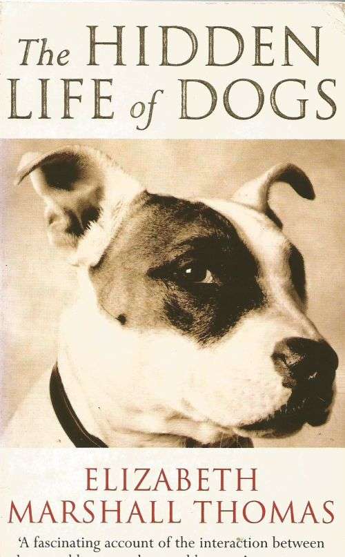 The hidden life of dogs