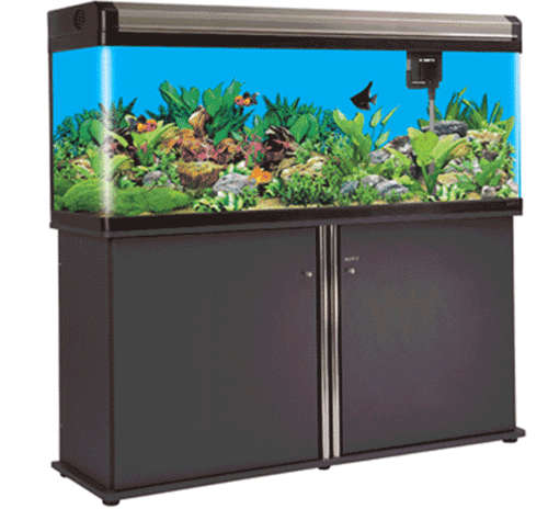 150 gallon fish tank for sale top