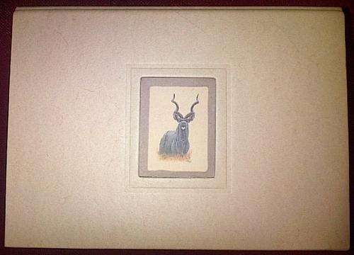 Khumbula Parchment - Writing sheets and envelope