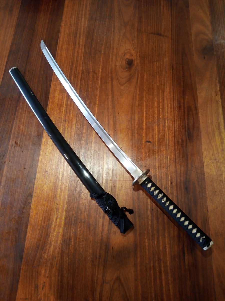 Cold Steel Warrior Series Katana