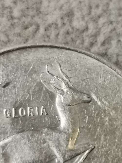 1966 Afrikaans Silver R1 (Tagged Ear)