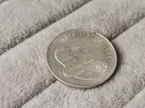 1966 Afrikaans Silver R1 (Tagged Ear)