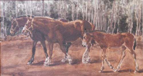 Ivanonia Roworth (Daughter of Edward Roworth) - Home - Ward Caledon - (SA Born 1920) - CRAZY START