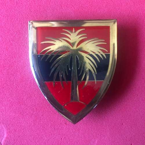 18 Field Engineer Squadron  SADF