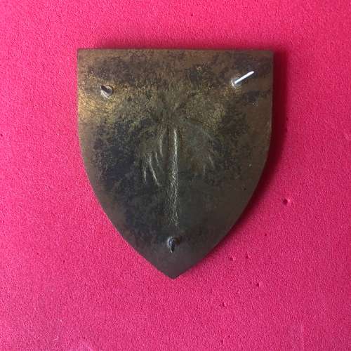 18 Field Engineer Squadron  SADF