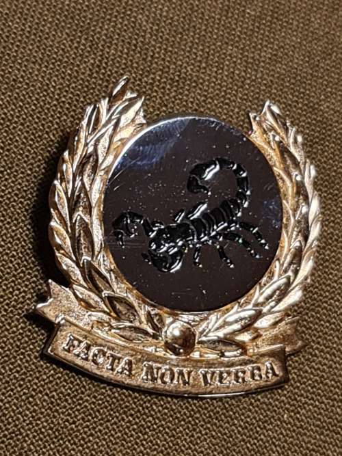 Scarce Gatsrand Commando Bi-Metal Cap badge