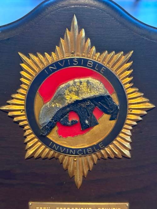 SAP Vlakplaas Anti Terrorism Unit Plaque - C section