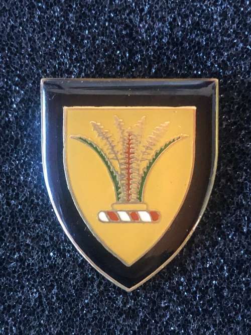 SWA sector 10 HQ commemorative pocket flash