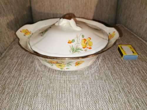 Beautiful Alfred Meakin lidded Tureen