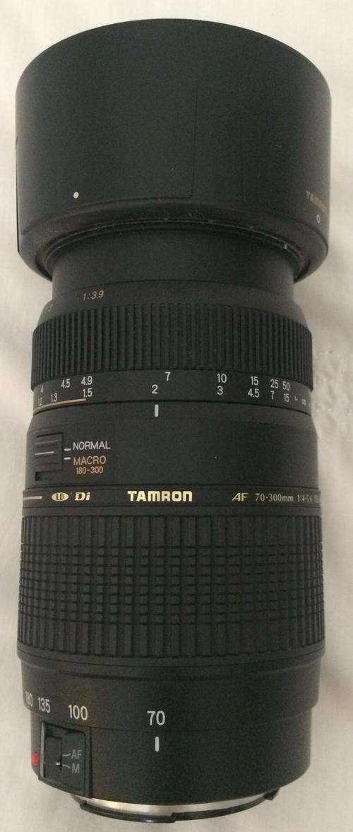 Tamron 70-300 Lens