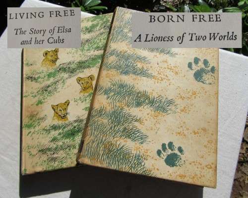 TWO RARE HARD COPIES~ELSA THE LIONESS~BORN FREE & LIVING FREE~SIGNED BY JOY ADAMSON 1960/61 VGC
