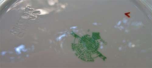 1948 FLORAL VINTAGE TRIO # 3 BY MINTON CHINA ENGLAND NO DAMAGES VGC