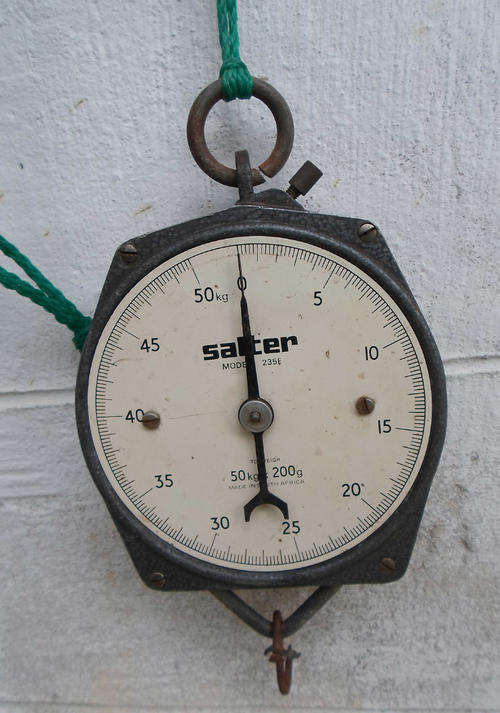 ORIGINAL SALTER FISH WEIGHT SCALE MODEL 235E~MADE IN SOUTH AFRICA 50KX/200GRAM