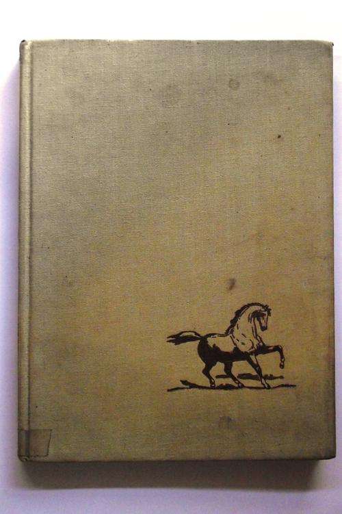 HORSES HORSES HORSES HORSES / Paul Hamlyn Ltd.