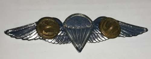 SADF Parachute Freefall Full Size Wing