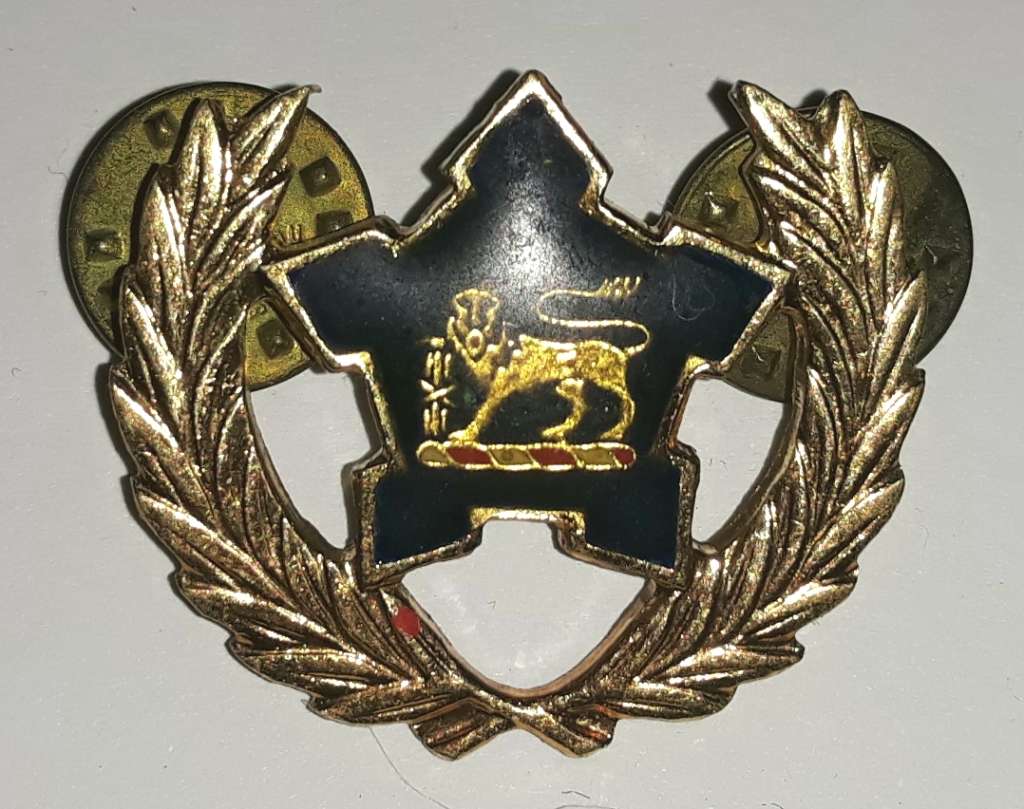 SA Navy Five Year Service Badge