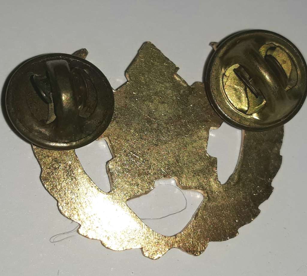 SA Navy Five Year Service Badge