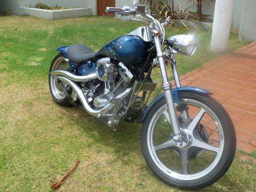 harley davidson- custom