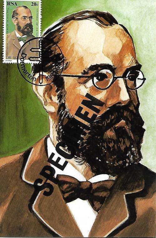 South Africa - unofficial maxi card specimens (9 cards)