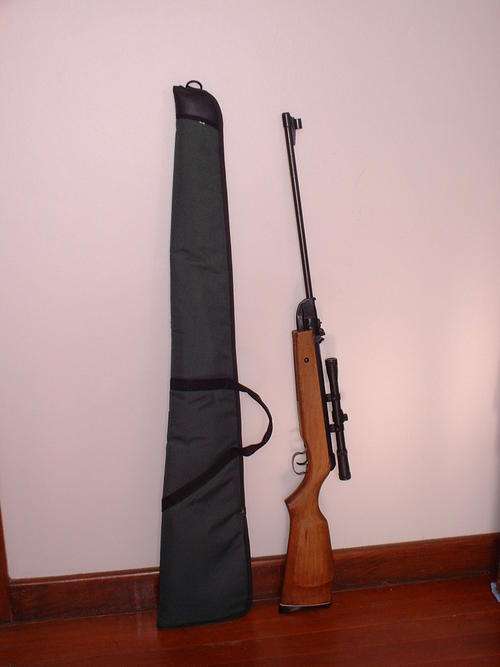Pellet Gun (Air Rifle)