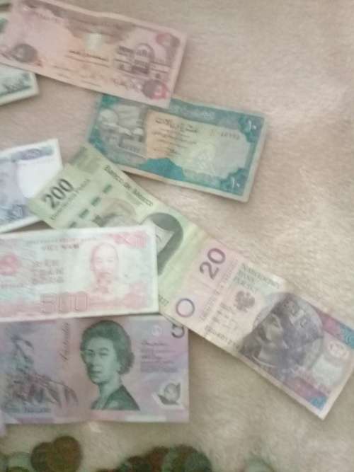 Joblot foreign notes and old  RSA coins