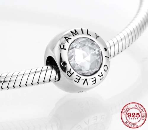 925 Sterling Silver Family Forever Charm