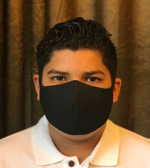 3 Ply Fabric Face Masks