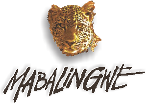Mabalingwe Nature Reserve,Midweek 02-06 November 2015, Sleep 4, 4 Nights