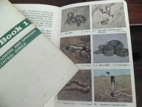 Quaint Rhodesian memorabilia: The Bundu Books 1 and 2