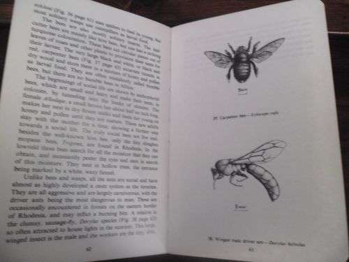 Quaint Rhodesian memorabilia: The Bundu Books 1 and 2