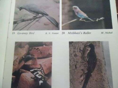 Quaint Rhodesian memorabilia: The Bundu Books 1 and 2