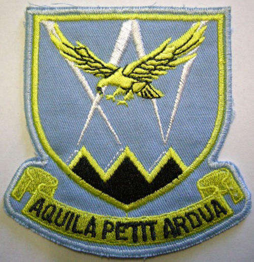 S.A.A.F. Patch 15 Squadron