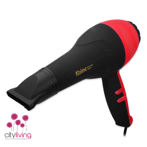 Professional 1800 Watts Hair Dryer