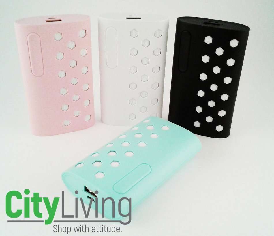 Universal Power Bank USB Charger