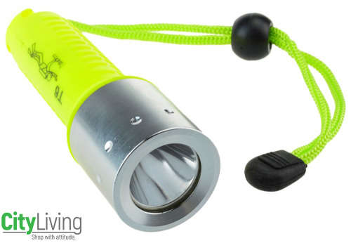 Professional Diving Flashlight