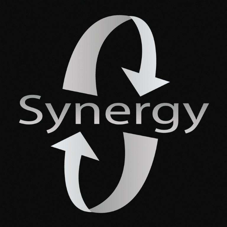 Synergy 4 port DVR & 2 Cams ETC. ***Late Entry***